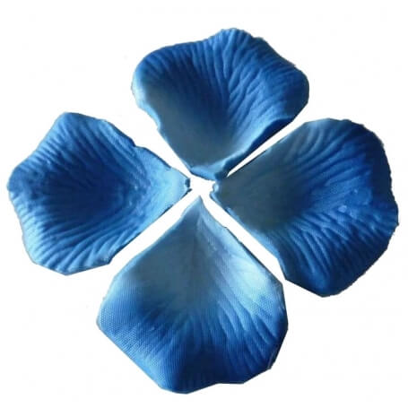 Pétalas De Casamento Azul