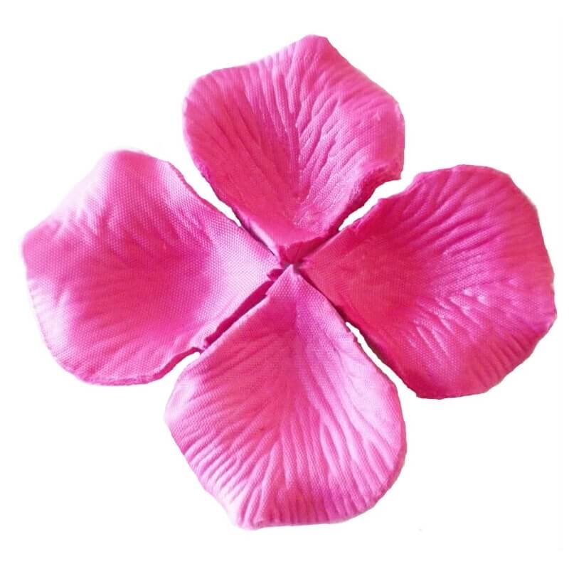 Pétalas magentas