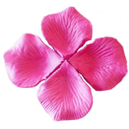 Pétalas Magentas
