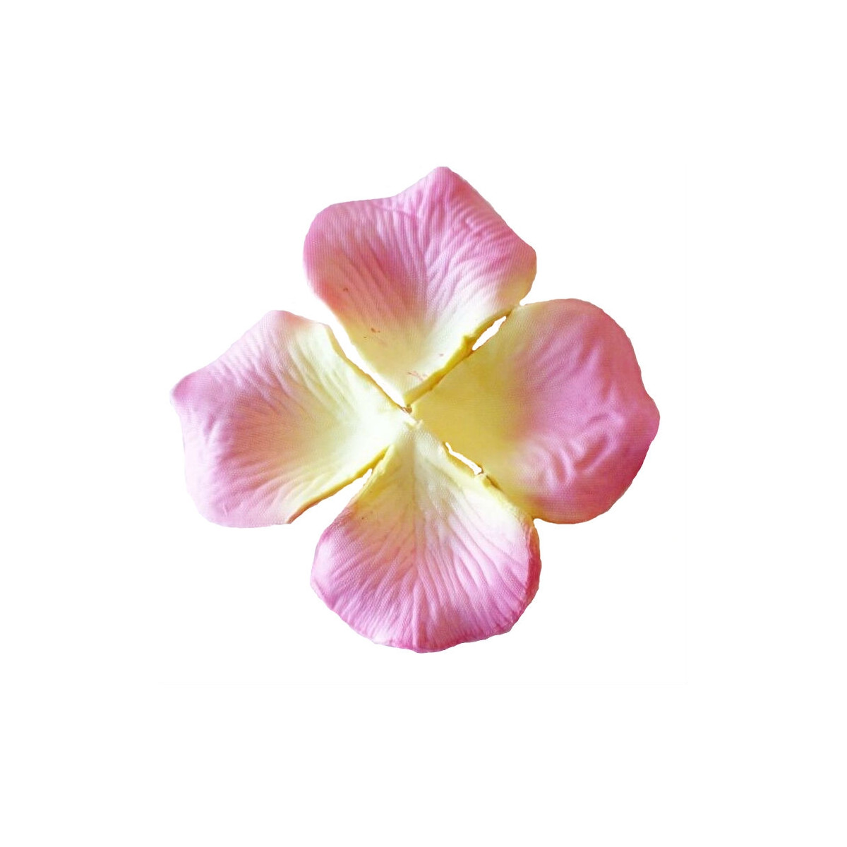 Pétalas rosa claro