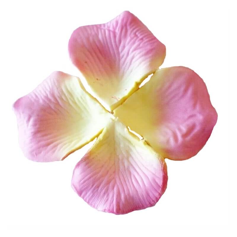 Pétalas rosa claro