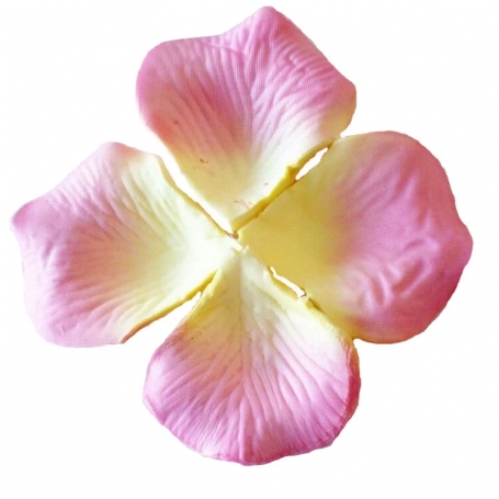 Pétalas Rosa Claro