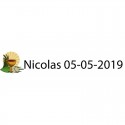 Fan personalizado para a comunhão