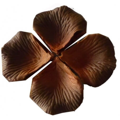 Pétalas De Casamento De Chocolate