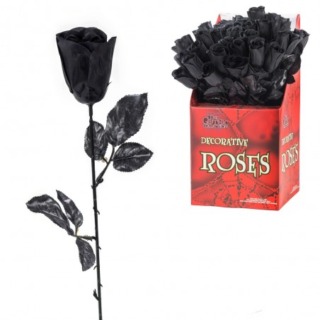 Rosa preto 4 x 4 x 43 cm