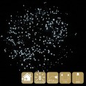 300 luzes led 8 funções brancas