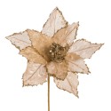Poinsettia tecido ouro