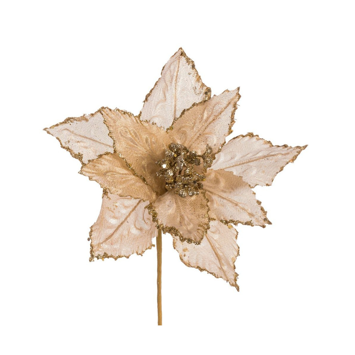 Poinsettia tecido ouro