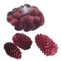 Saco 200 g abacates medianos vermelhos