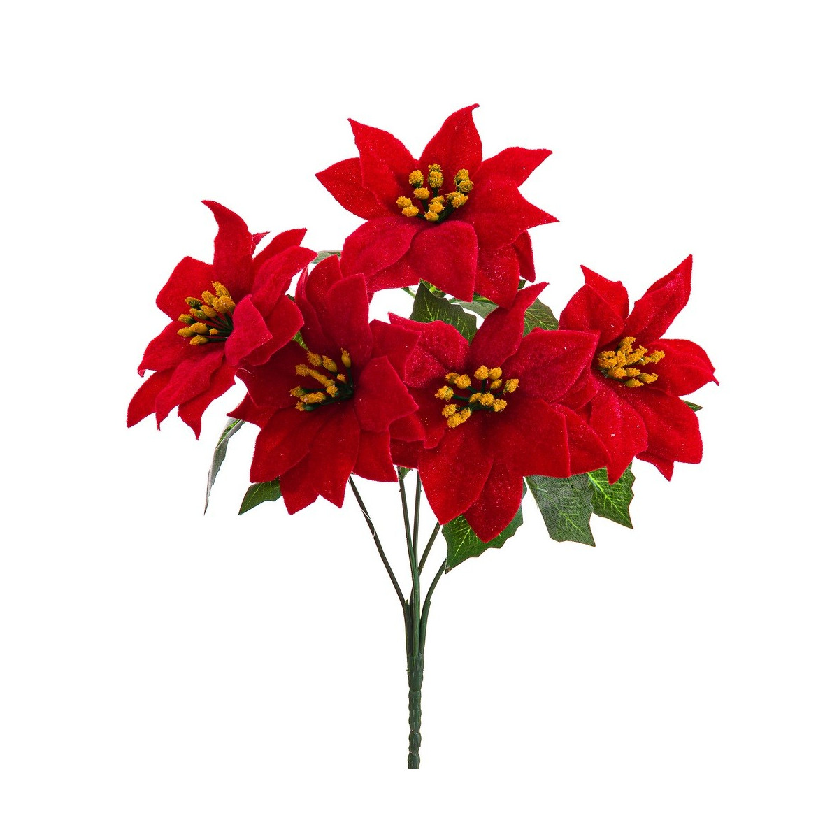Ramo 5 poinsettia 30 cm