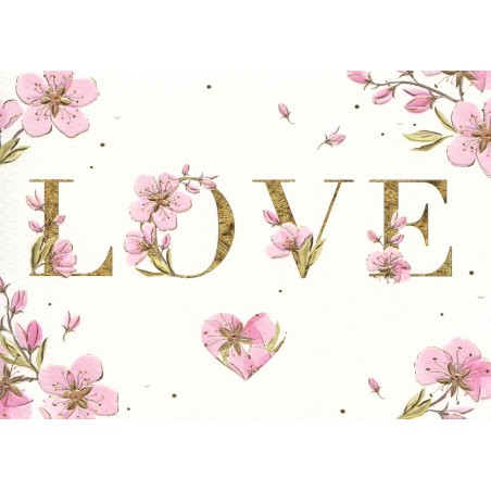 Postal turnowsky amor
