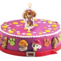 Vela 2d skye patrulha canina 7 5cm