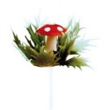Cogumelos com folhas de plástico