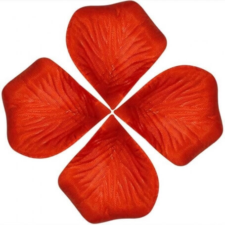 Pétalas De Casamento Malas