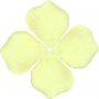Pétalas de Rosa Artificial em Cor Creme para Decoração de Eventos