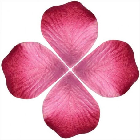 Sacos de pétalas de rosas
