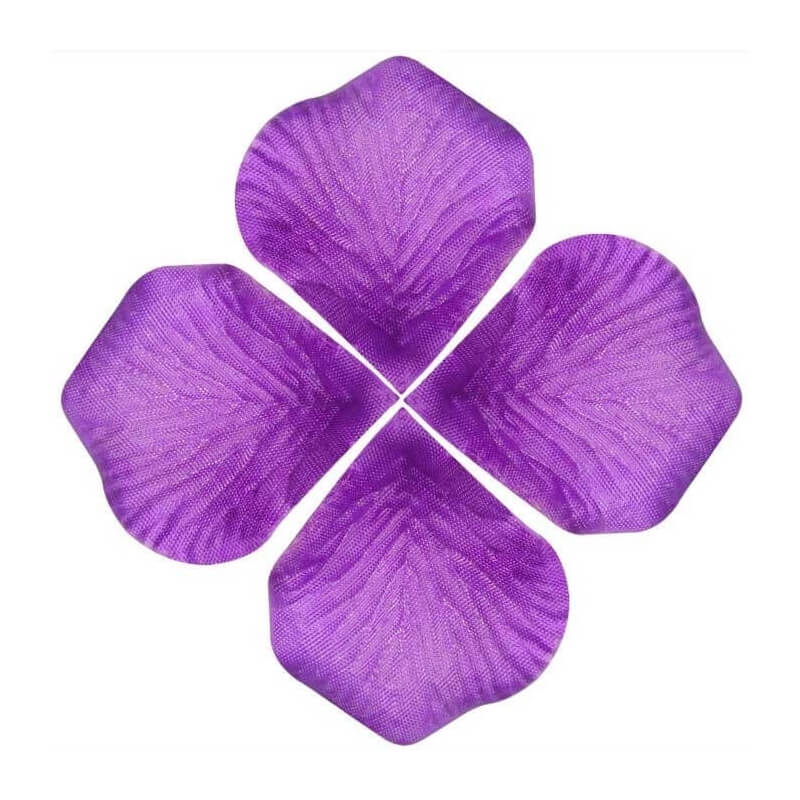 Decoração de pétalas de rosa