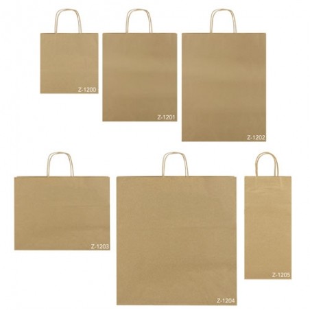 Bolsa de papel gift 22x23x10