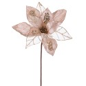 Poinsettia tecido champanhe 50 x 30 cm