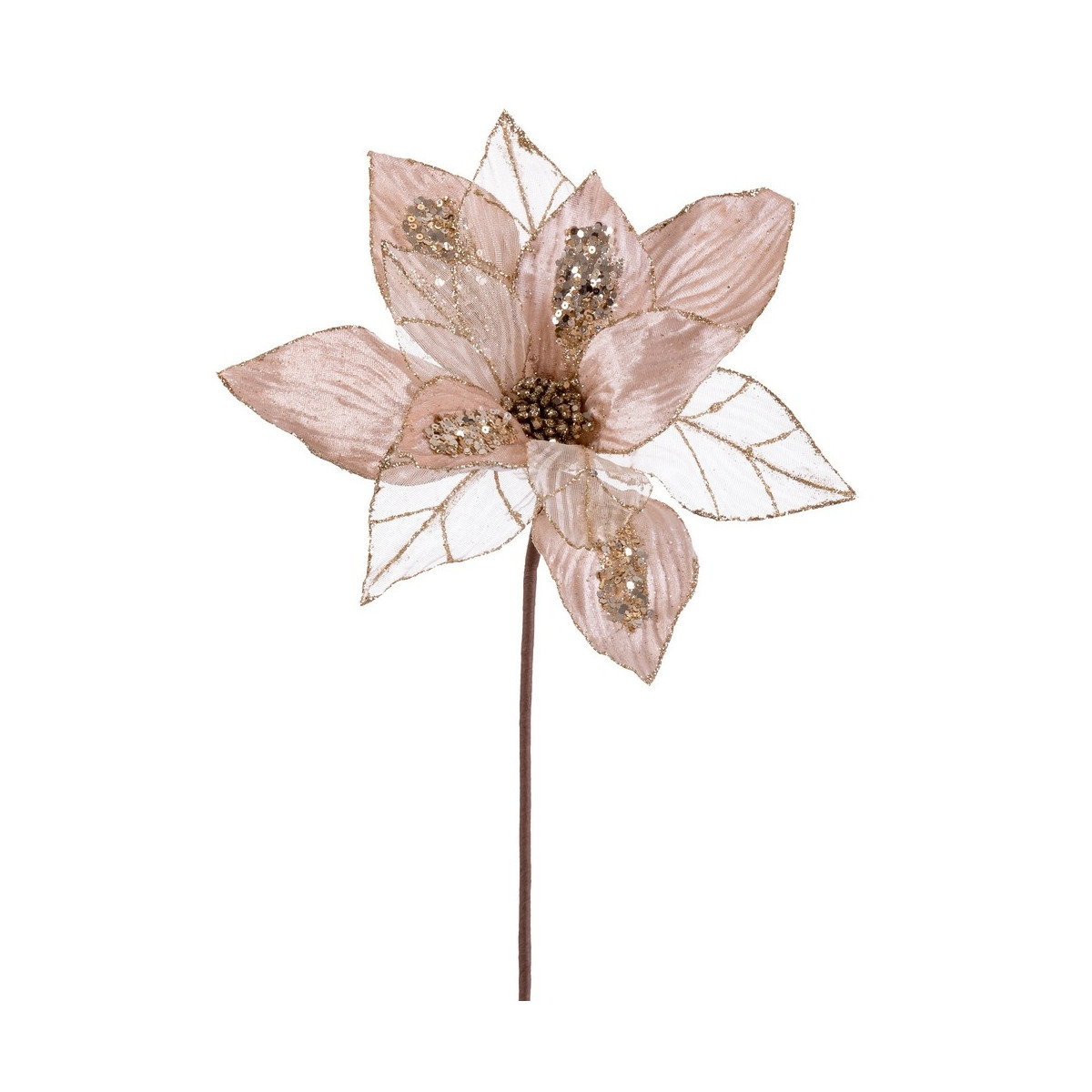 Poinsettia tecido champanhe 50 x 30 cm