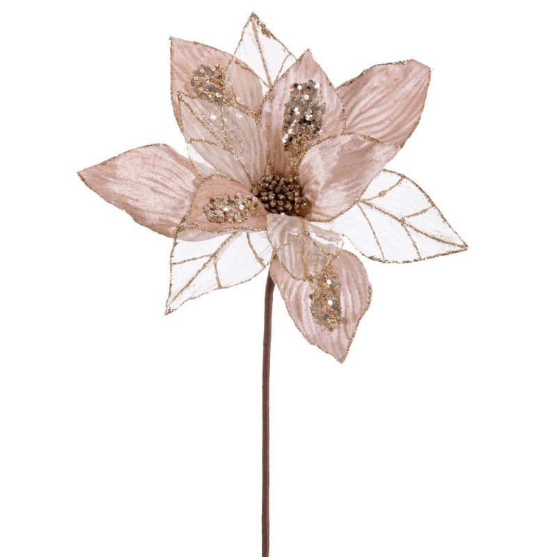 Poinsettia tecido champanhe 50 x 30 cm