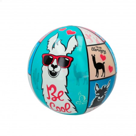 Llama bola pvc d14 cm (desinflada c rede)