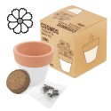 Vaso de terracota pequeno com sementes