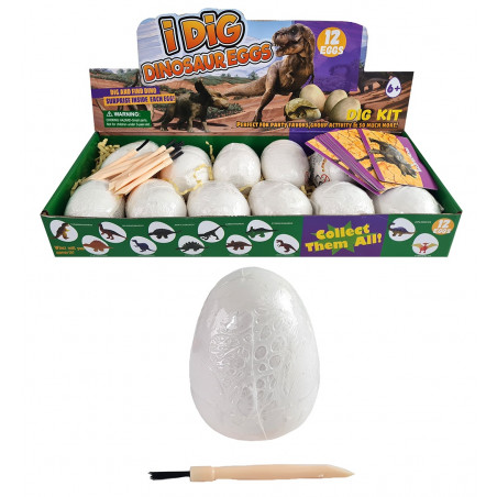 kit escavação ovos dinossauro