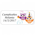 Gargantilha de joias finas com uma coruja em uma caixa de papelão e um adesivo de aniversário personalizado