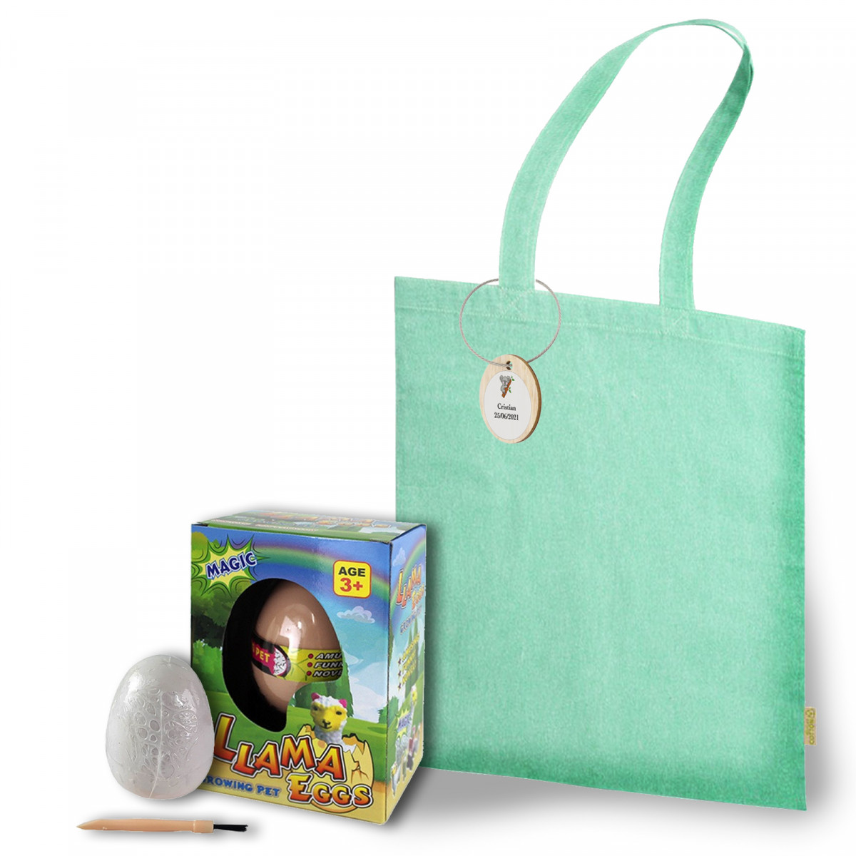 Presente de dinossauros apresentado em uma bolsa de pano com um adesivo personalizável em uma etiqueta de madeira