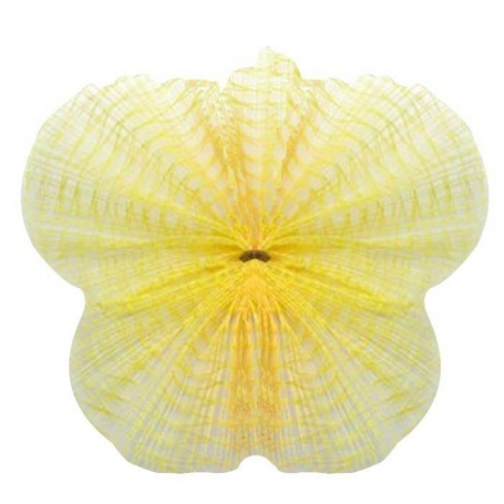 Tule líquido amarelo