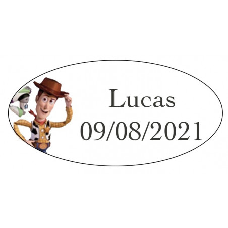 Estojo com cores, ceras e apontador personalizado para detalhes
