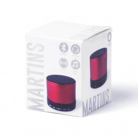 Palestrante martins