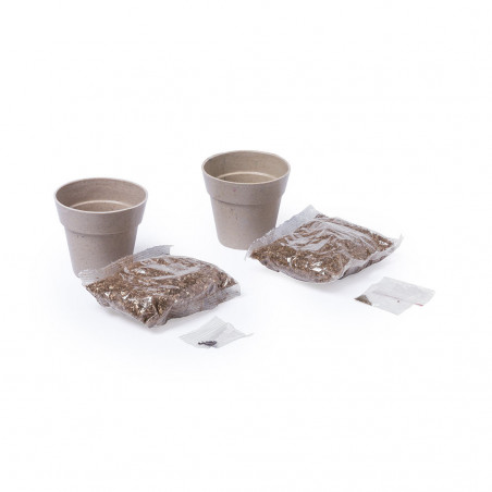 Conjunto de vasos nertel