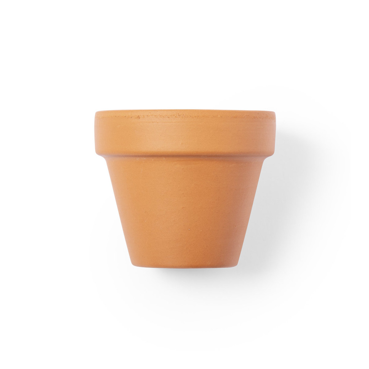 Vaso para plantar petúnias