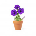Vaso para plantar petúnias