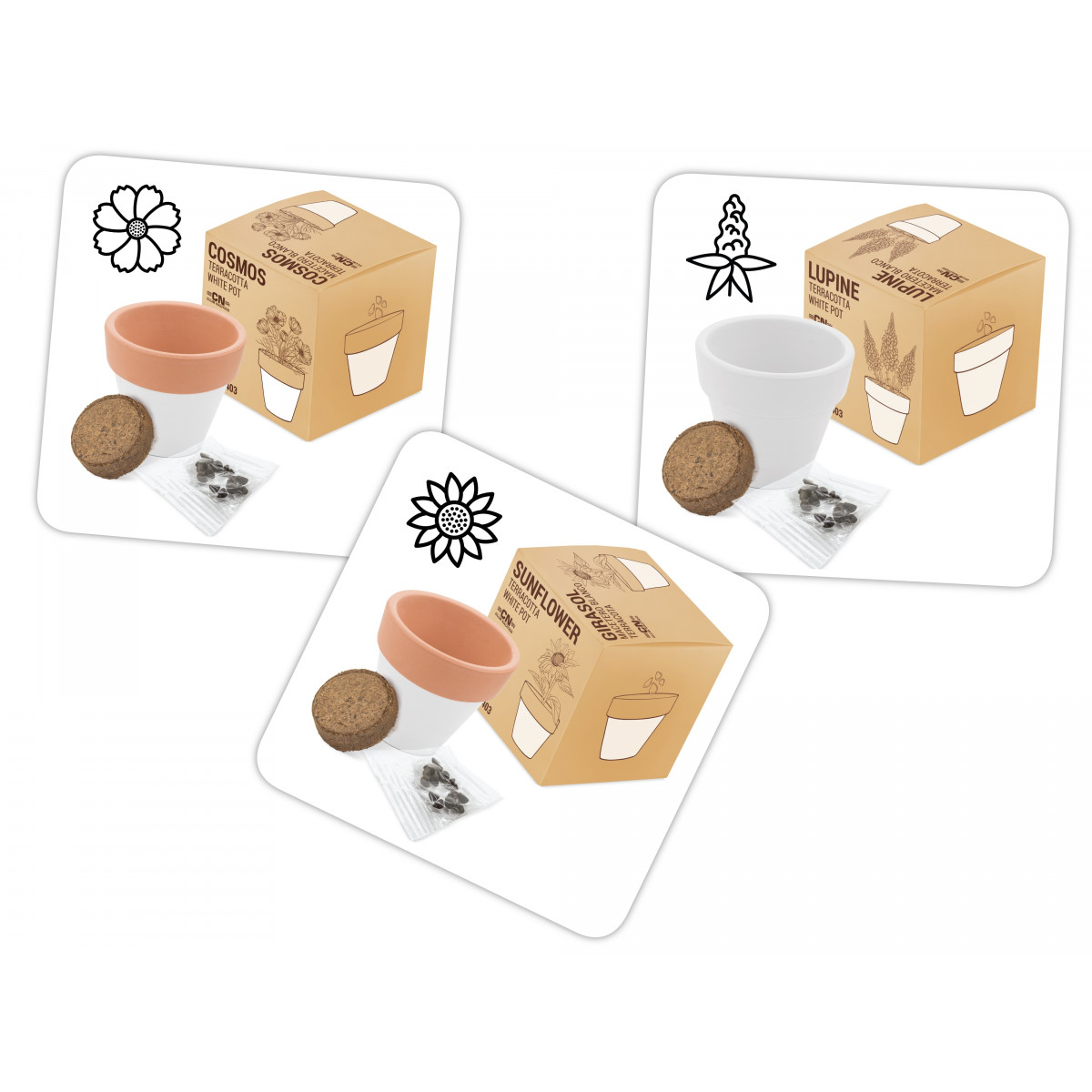 Vaso de terracota pequeno com sementes