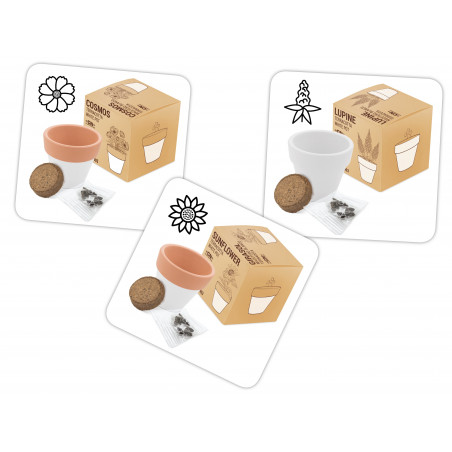 Vaso de terracota pequeno com sementes