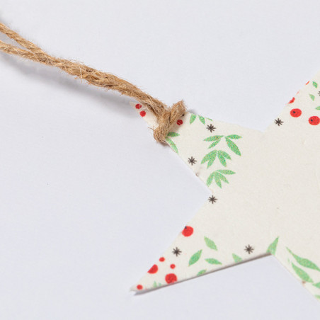 Decorações de natal com sementes de petúnia