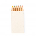 Lápis de cor com sementes em estojo de papelão para desenhar
