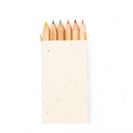 Lápis de cor com sementes em estojo de papelão para desenhar