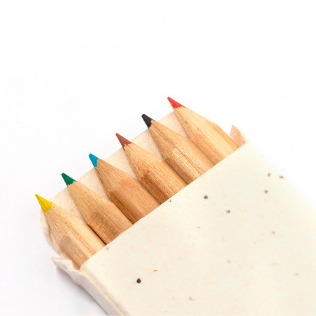 Lápis de cor com sementes em estojo de papelão para desenhar