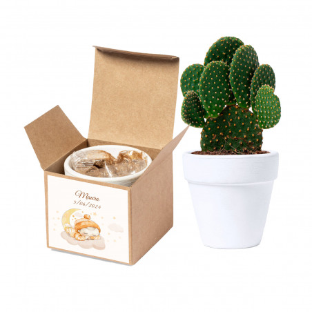 Vaso com sementes de cacto em caixa personalizada para batizados