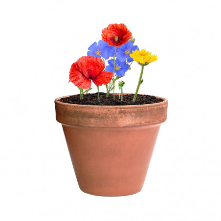 Sementes de flores em forma de bombom com adesivo personalizável para lembrança de casamento