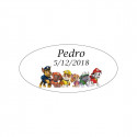 Pompero patrulha canina com pirulito personalizado para presentear