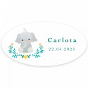 Tarjeta de lembrete personalizável com pirulito e adesivo ovalado para detalhes de batizados unissex