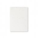 Bloco de notas eco com capas de sementes para plantar em envelope kraft personalizado para detalhes de festas e eventos