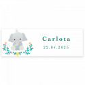 Dominó de animais infantil personalizado para batizados