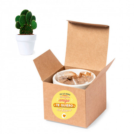 Vaso de terracota com sementes de cacto e adesivo de amizade para presentear
