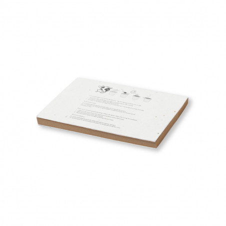 Bloco de notas eco com capas de sementes para plantar em envelope kraft personalizado para detalhes de festas e eventos
